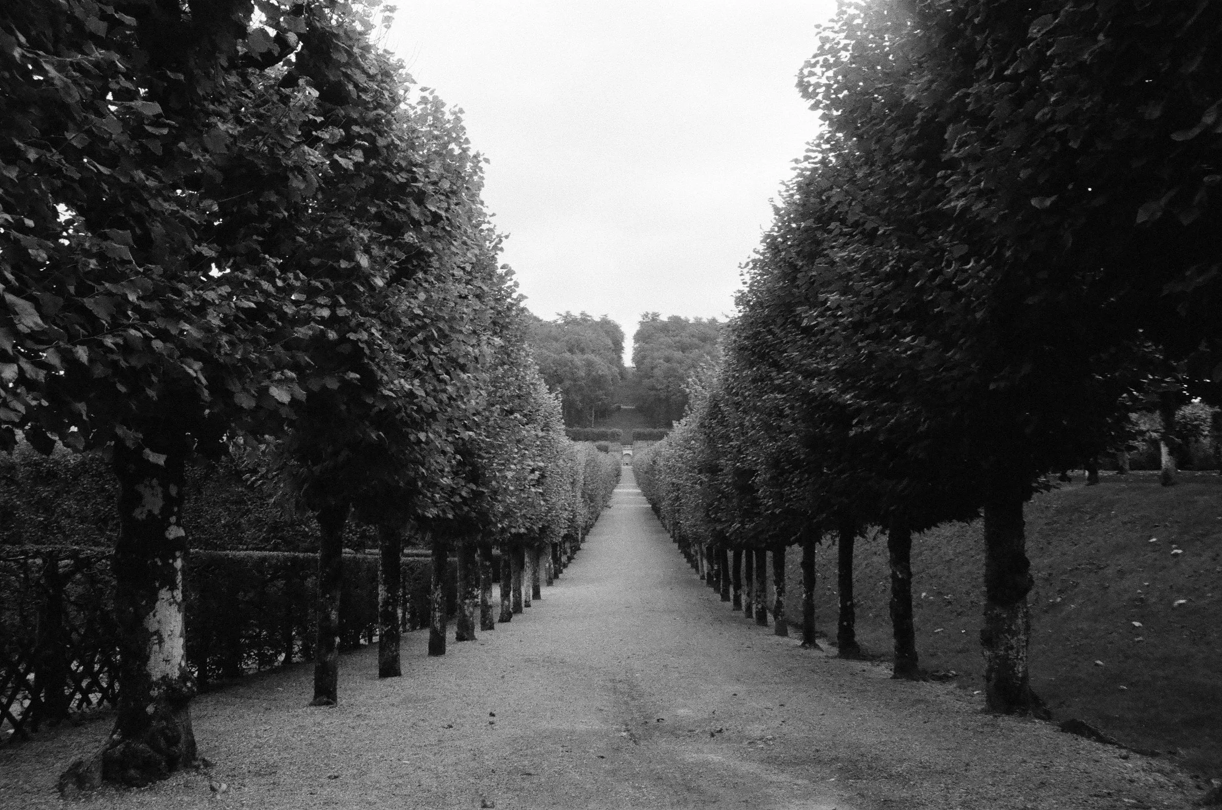 35mm France: Loire Valley